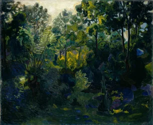 Paisagem arborizada